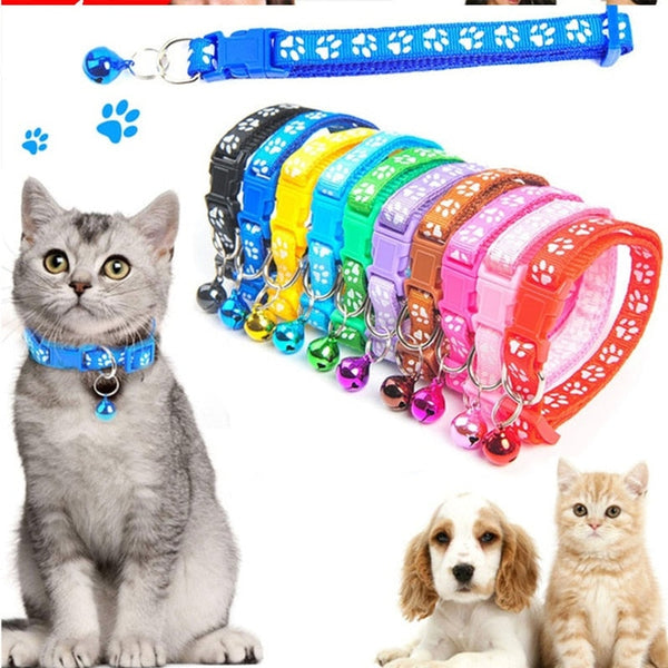 Colorful Cat Collar