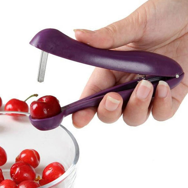 Cherry Fruit Core Seed Remover